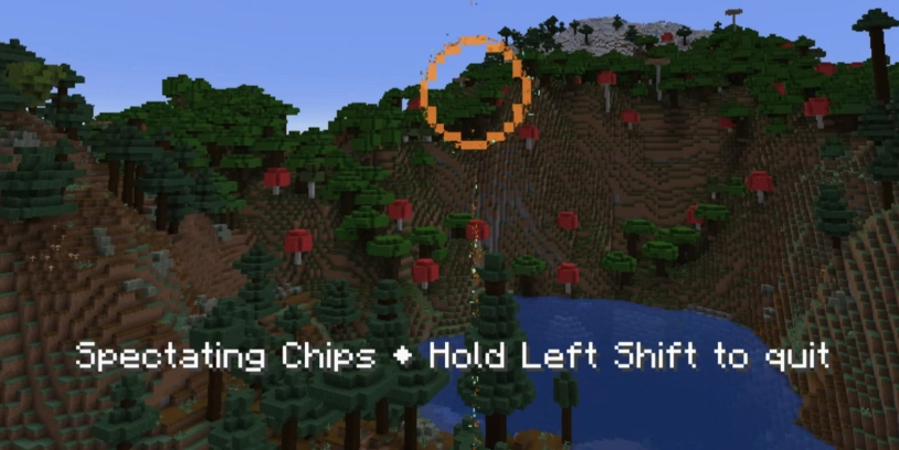 Image of a flight spectator